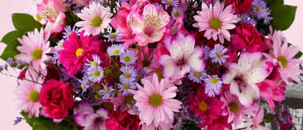 daisies-get-well-flowers-blog120823