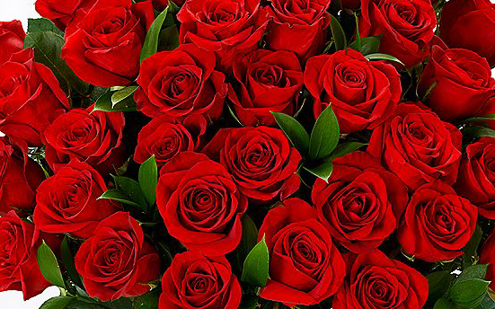 pf_15_r118x2_minimal_nogyp_nofern_va1104_w1_sq