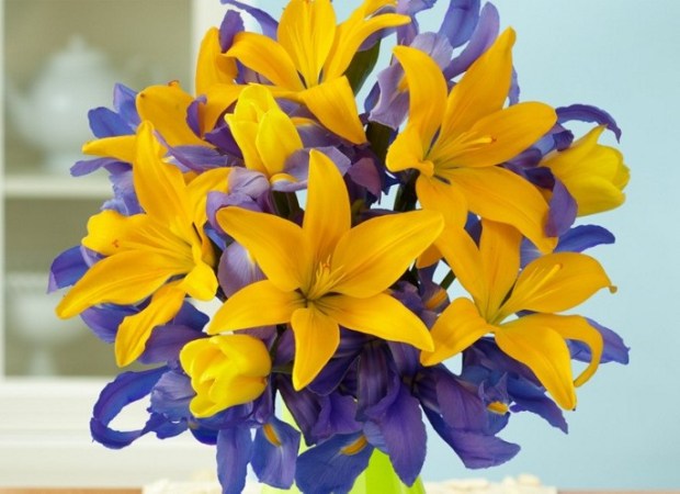 school-colors_110518